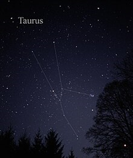 TAURUS - Amay Brahmaand