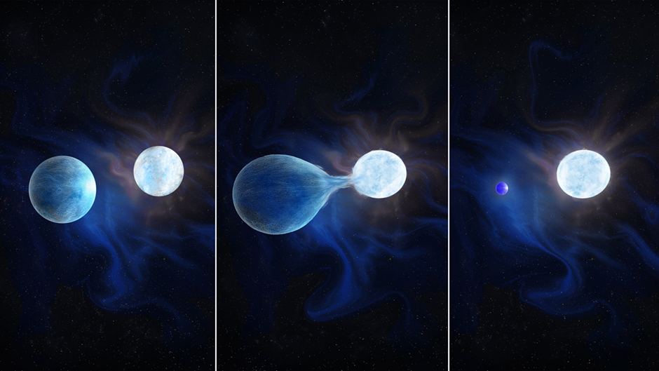 binary stripped stars